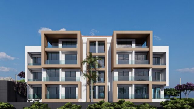 WhatsApp Image 2025-07-15 at 12.16.41